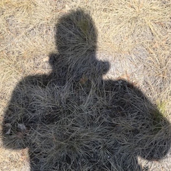 une ombre se dessine dans l'herbe sèche