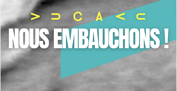 Le texte en blanc gras indique « Nous recrutons ! » avec le logo de vucavu par dessus.
