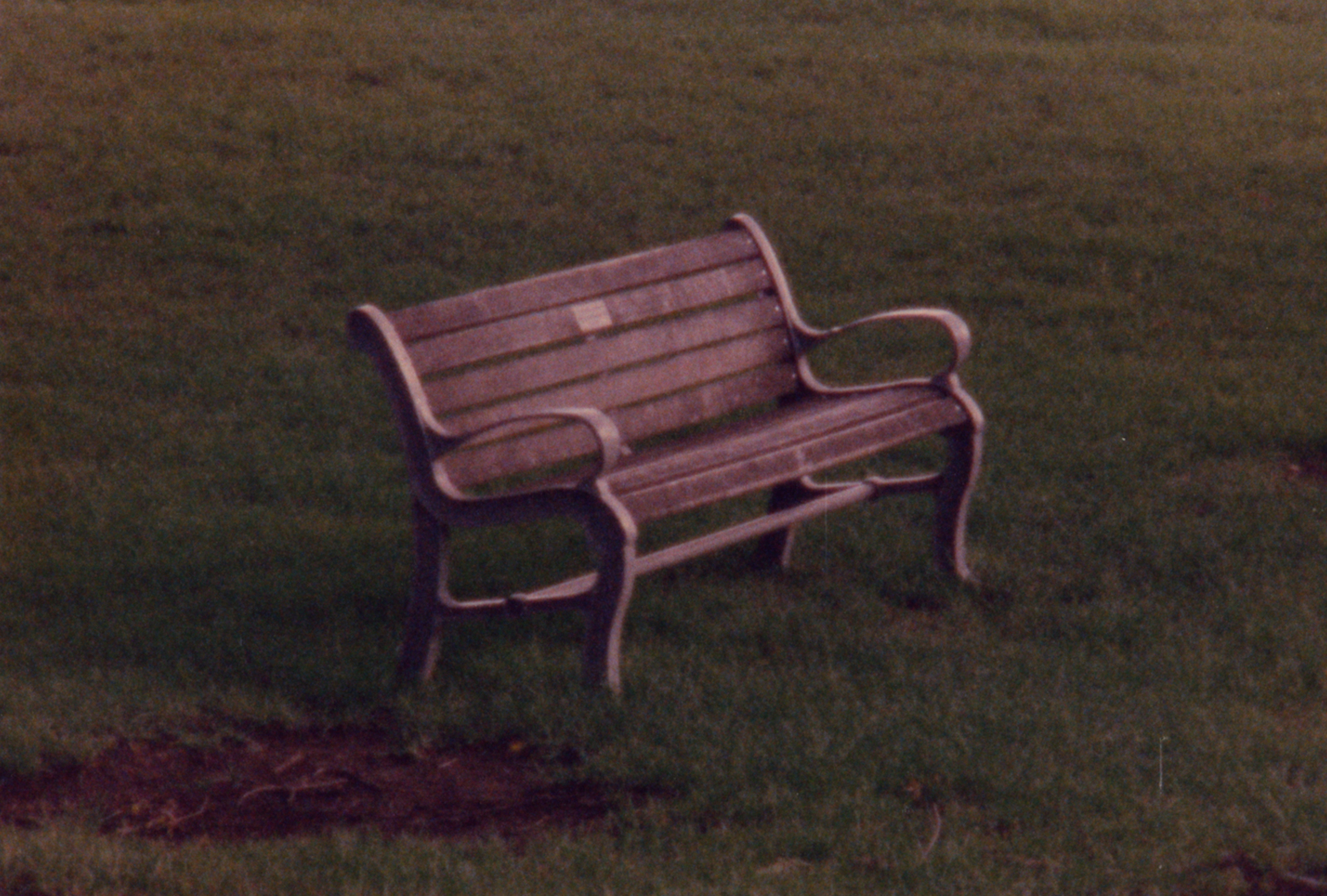A film still image of a park bench in a field of grass