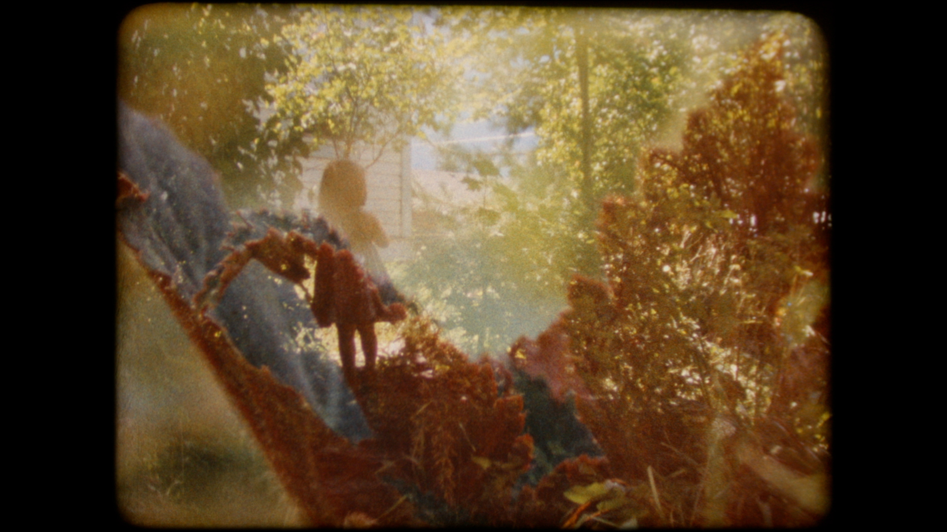 Still image from n the Backyarden (2016), Lindsay McIntyre, Cineworks