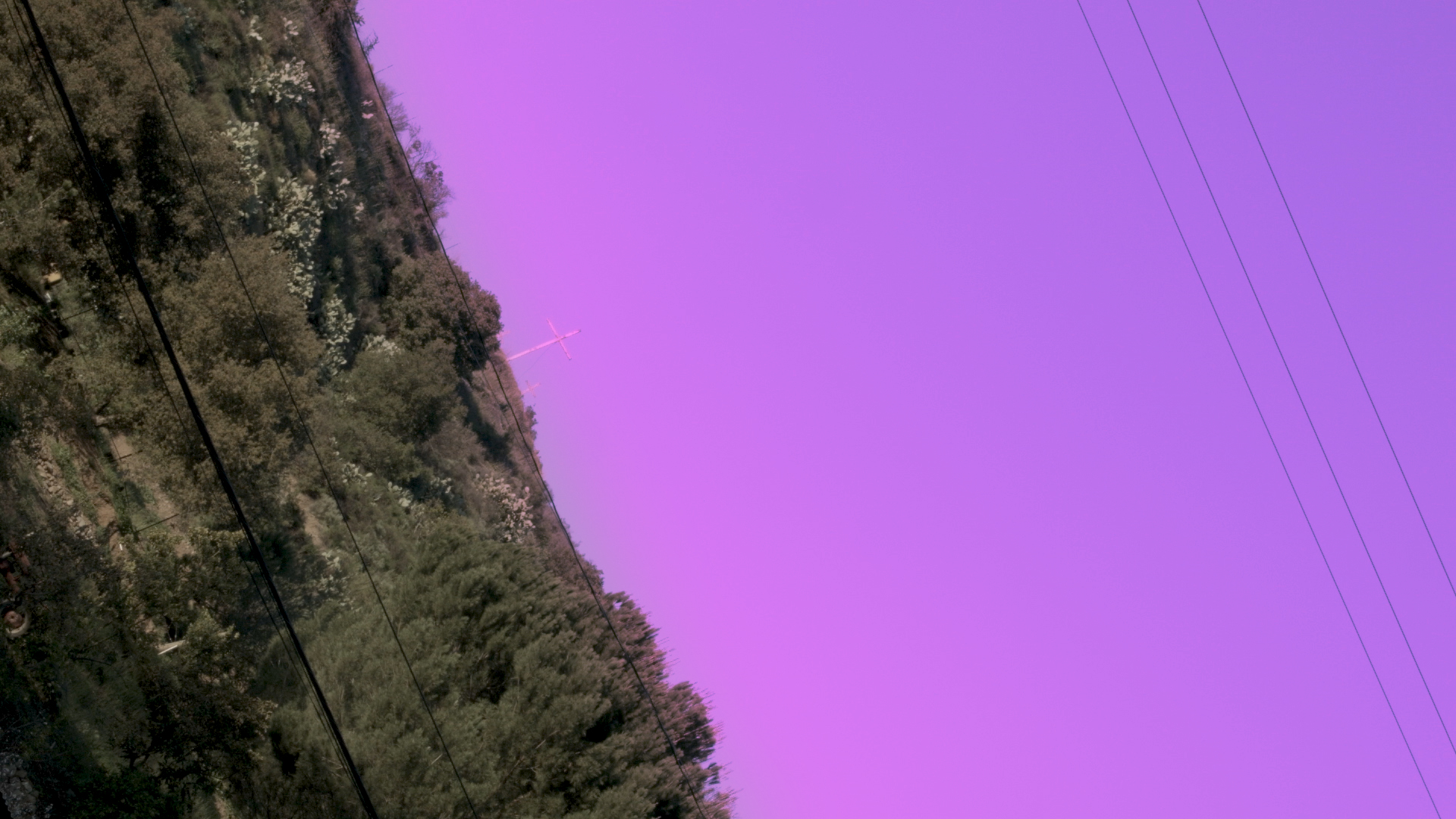 Tilted image of a forest skyline with wires crossing the frame and a hilltop with a cross in the background.