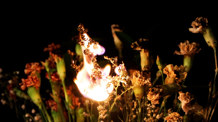 Bouquet de fleurs dont celles du centre sont en feu. Image en couleur dans un environnement sombre.