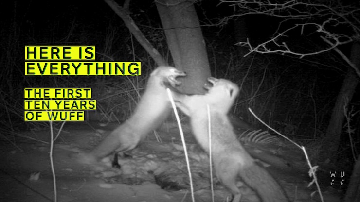 Night vision image of two foxes fighting with text "here is everything: the first ten years of wuff"