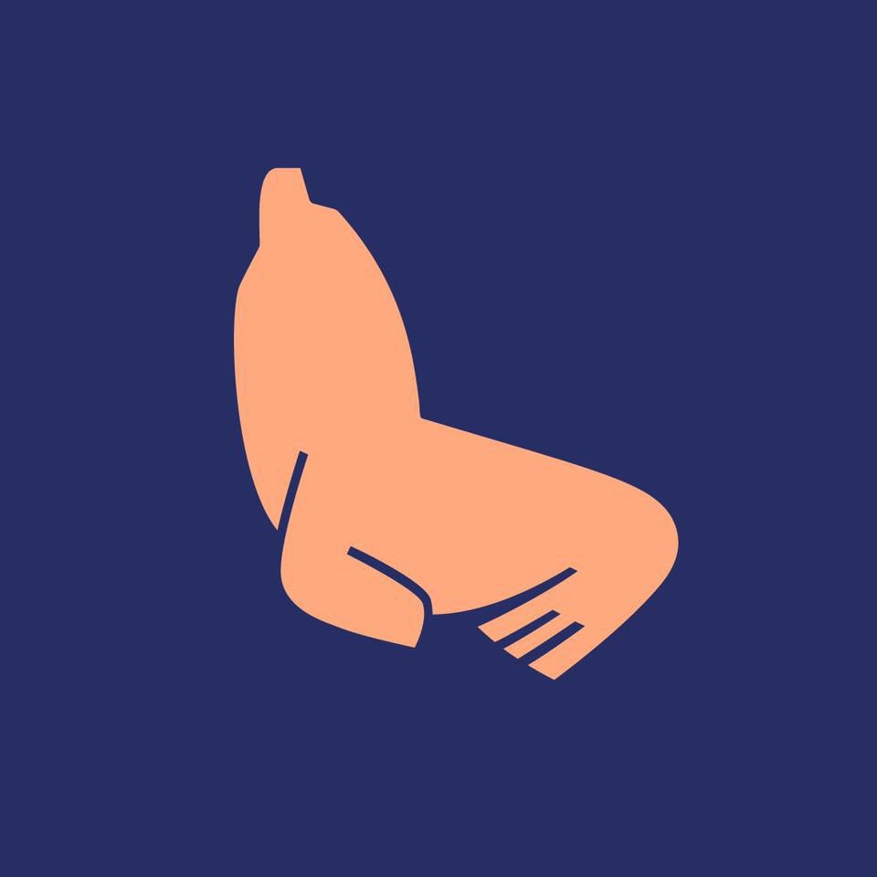 A simple pink seal on a navy background