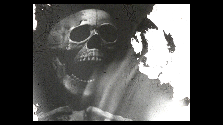 Still from Homunculi