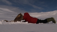 Person in a red winter coat laying down face forward in a snowy landscape struggling with an object