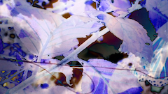 Abstract image of tree branches, leaves and butterfly wings. Shades of pink, brown, white, purple.