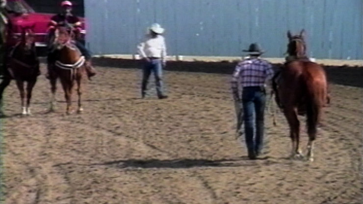 The Cowboy Tapes