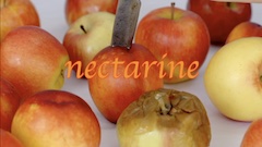image of fruit with word nectarine superimposed