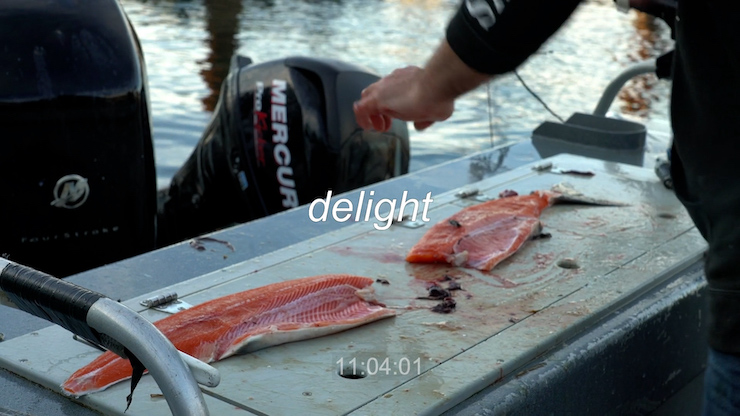 Still from Confessions of a Phish, image of a filleted fish with text "delight"