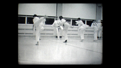 The Taekwondo Class