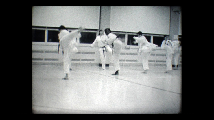 The Taekwondo Class