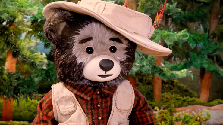 A brown bear wearing a beige hat is outside in the forest